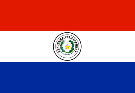 Paraguay flag illustrator country flagsのイラスト素材