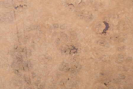 Abstract macro of wood veneer showing the detail of the wood grain の写真素材