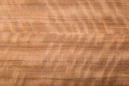 Abstract macro of wood veneer showing the detail of the wood grain の写真素材