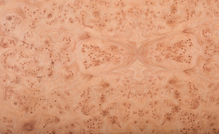 Abstract macro of wood veneer showing the detail of the wood grain の写真素材