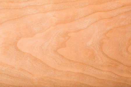 Abstract macro of wood veneer showing the detail of the wood grain の写真素材