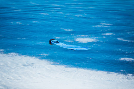 Single blue flipper floating on the water