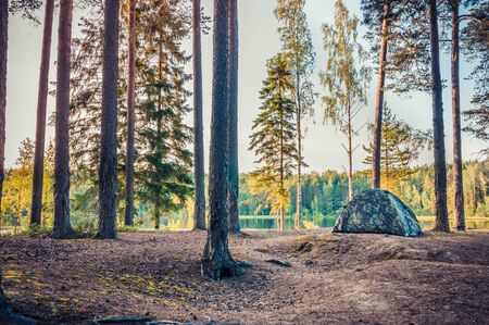 Forest scenery with camping tent among trees on bank of lakeの写真素材