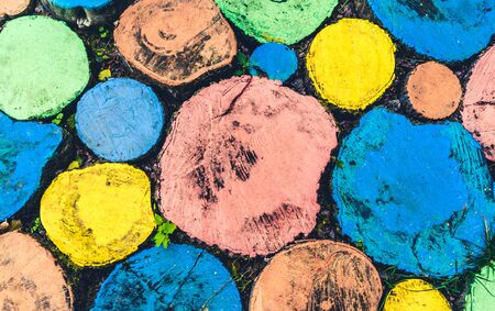 Abstract pattern of round shaped multi-colored tree stumps shot from aboveの写真素材