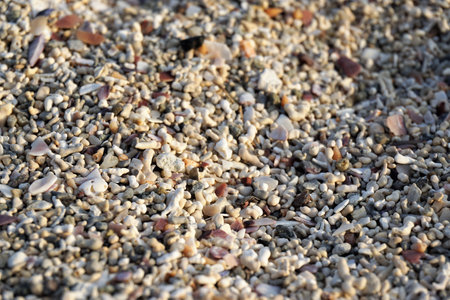 Close-up view of pebbles on the beach.