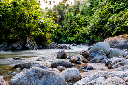 timelapse of river flowing inside wild tropical rainforest in natural environementの写真素材