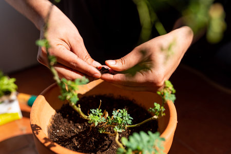 home gardening in the terrace in spring, growing new plants, a popular home decor idea good for...