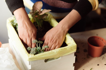 woman gardening at home. hands watering plants in home made garden during lock down. taking care of...