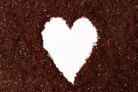 environment protection and care concept. shape of heart made with brown natural soil with copy spaceの写真素材