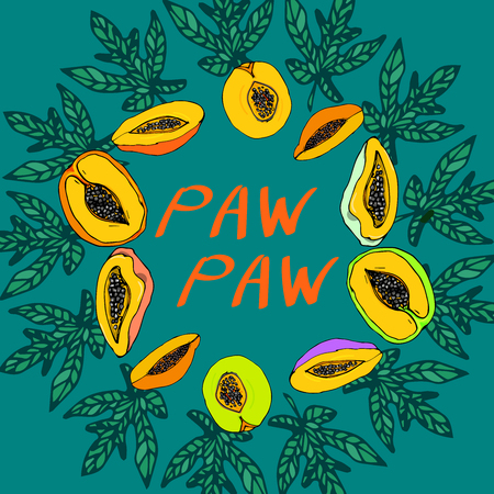 hand drawn exotic papaya vector wreathの写真素材