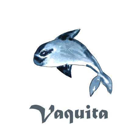 vaquita marina whale vector illustrationのイラスト素材