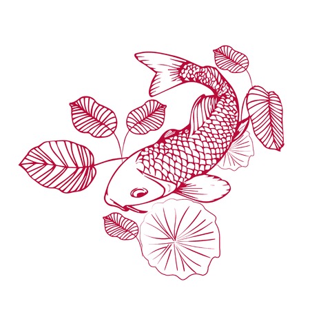 hand drown koi fish vector illustrationの写真素材
