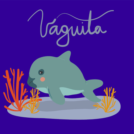 vaquita marina vector illustrationのイラスト素材