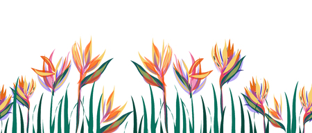 hand drawn Tropical leaf vectorのイラスト素材