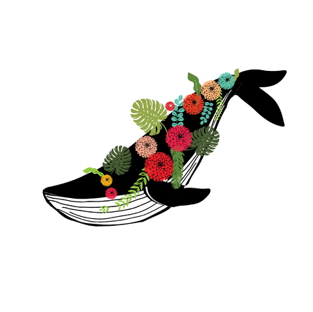 vaquita marina blue whale sealife  vector illustrationのイラスト素材