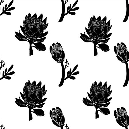 King protea hand drawn with outline graphic design vectorのイラスト素材