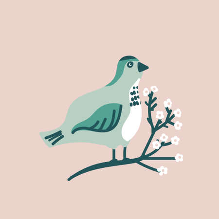 Set of Spring card bird on blossom brunch, vase of flowers greeting seasonのイラスト素材