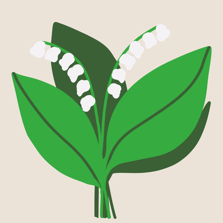 Lilly of the valley, Convallaria majalis with green leaves .Spring flowersのイラスト素材