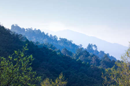 Forest mountain layersの写真素材