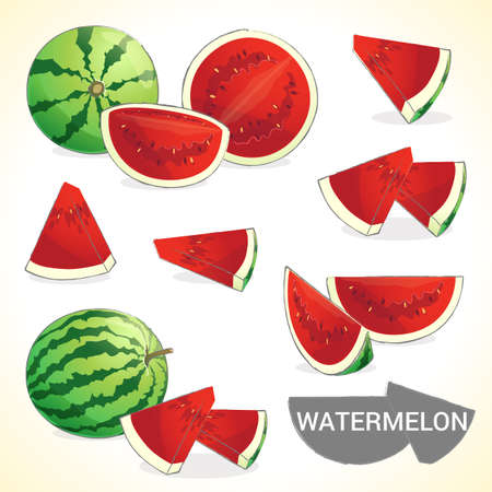 Set of watermelon fruit in vector and various stylesのイラスト素材
