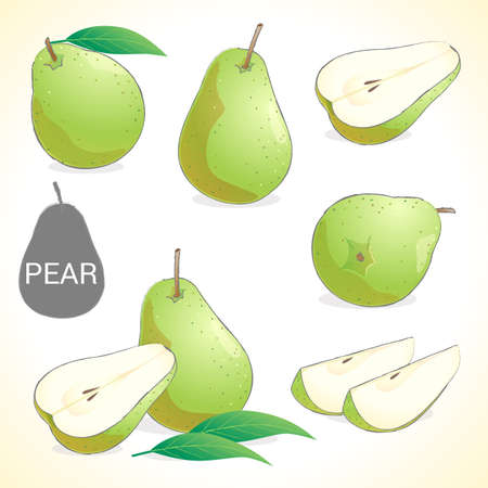 Set of pears with leaf in various stylesのイラスト素材