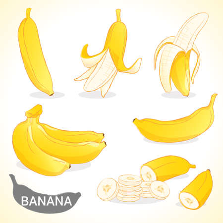 Set of banana fruit in vector and various stylesのイラスト素材