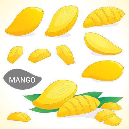 Set of mango in vector and various stylesのイラスト素材