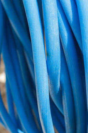 Blue garden hose pipeの写真素材