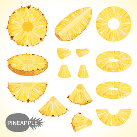 Set of pineapple in various styles formatのイラスト素材