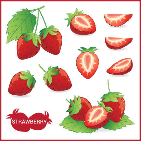 Set of strawberry fruit illustration with leaf in slice, half, whole in vector formatのイラスト素材