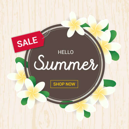 Summer greeting season with Plumeria Flowers frame or Summer floral Designのイラスト素材