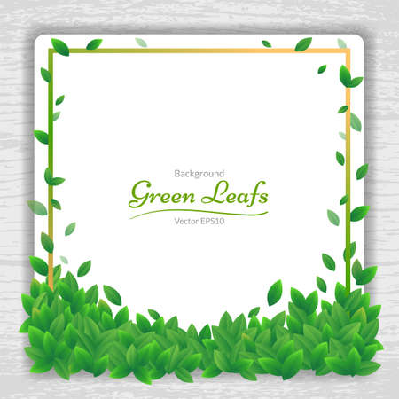 Vector nature background banner with green leaf frameのイラスト素材