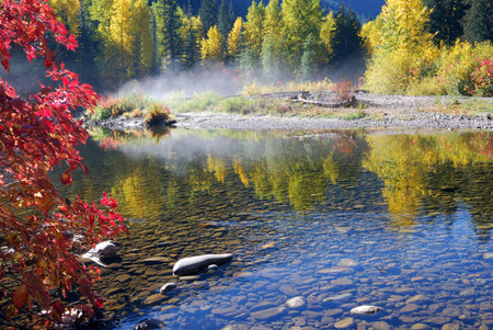 Colorful foliage at Cascade Loop in Washington State in Oct.