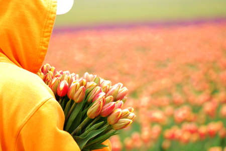 Tulip Workerの写真素材