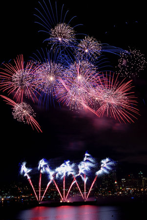 Colorful Burst of Fireworks