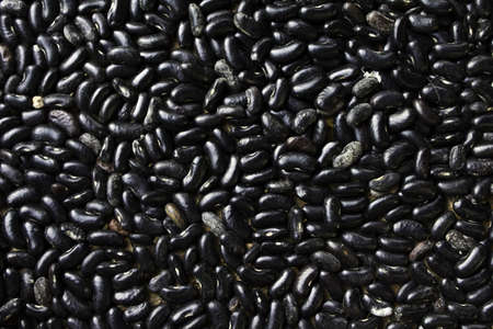 Black beans close up viewの写真素材