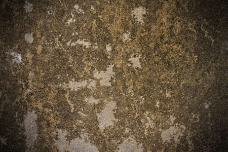 texture of the old wall for backgroundの写真素材