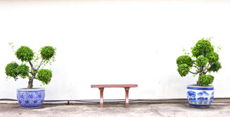 the bench against blank wall in the parkの写真素材