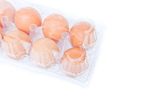 eggs in a plastic carton isolated on a white backgroundの写真素材