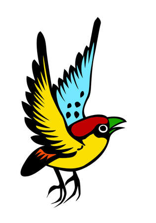 colorful of a little bird on white backgroundの写真素材