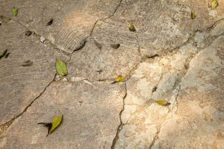 cracks on the concrete floor for backgroundの写真素材