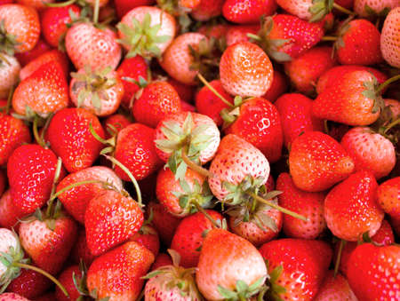 close up shot of strawberries in Thailandの写真素材