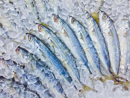 Fresh fish on ice in the market, Thailandの写真素材