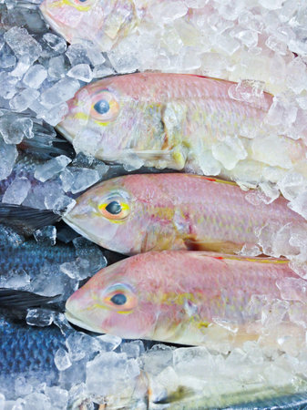 Fresh fish on ice in the market, Thailand
