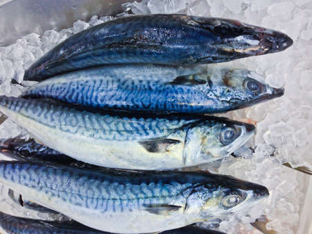 Fresh fish on ice in the market, Thailandの写真素材