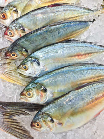 Fresh fish on ice in the market, Thailandの写真素材