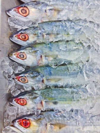 Fresh fish on ice in the market, Thailandの写真素材