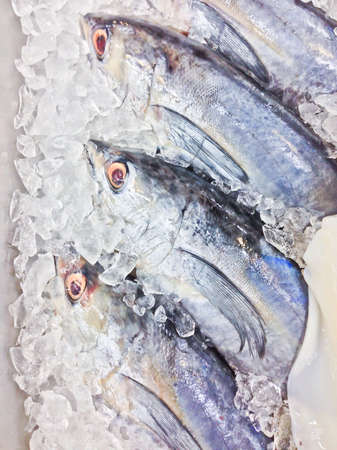 Fresh fish on ice in the market, Thailandの写真素材