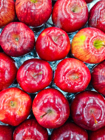 view above from row of red apples