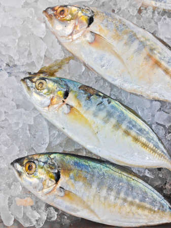 Fresh fish on ice in the market, Thailandの写真素材